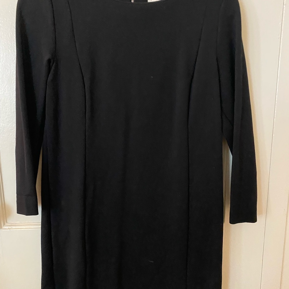 JCrew Shift Dress - Picture 3 of 3